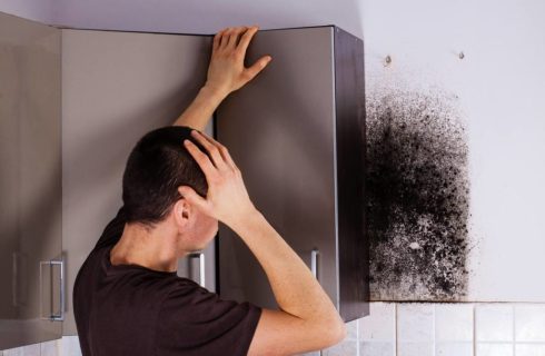Mold removal services will help you stay safe in your home.